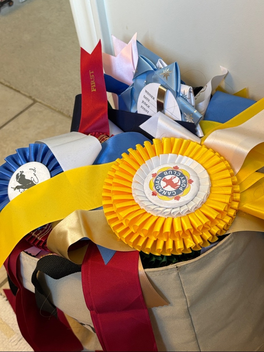 Horse show ribbons.